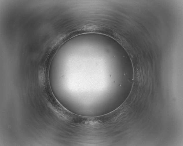 X0000056380208200508261209