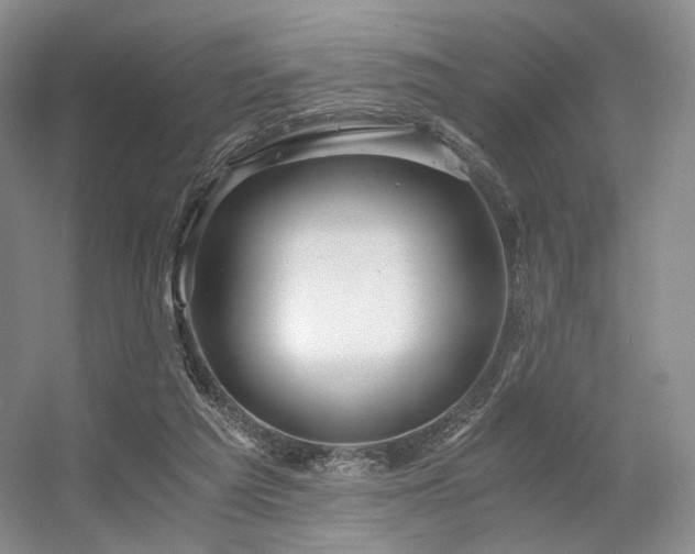 X0000056380209200508261209