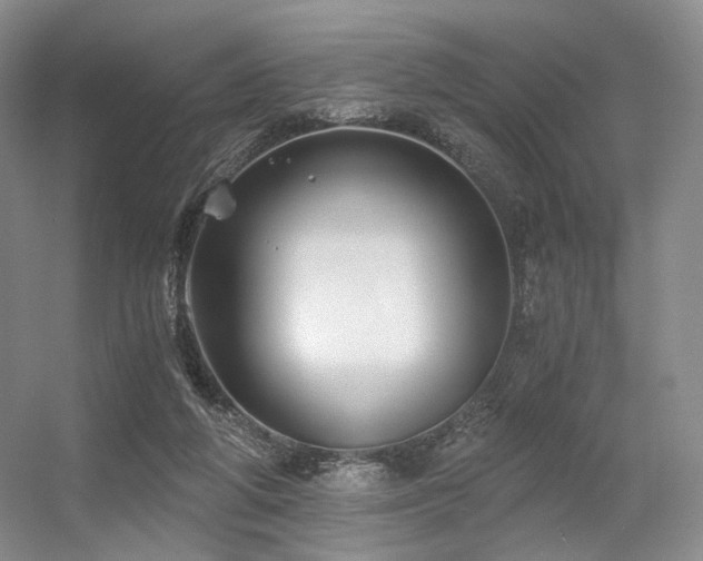 X0000056380210200508261209