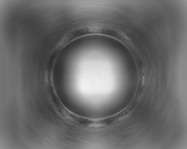 X0000056380213200508261209