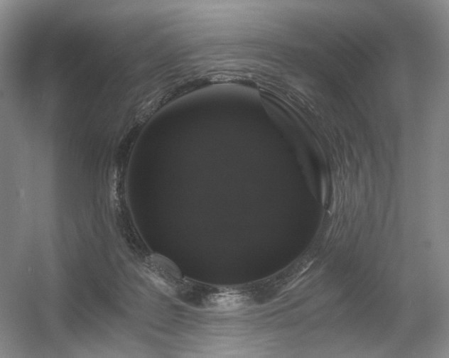 X0000056380219200508261209