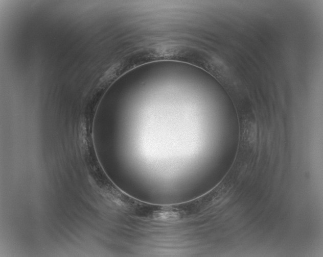 X0000056380220200508261209