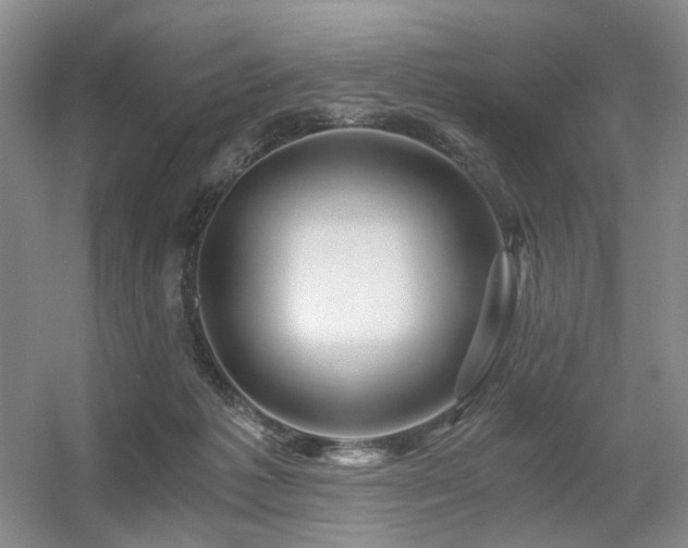 X0000056380221200508261209