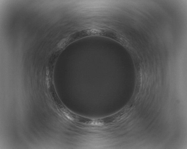 X0000056380223200508261208