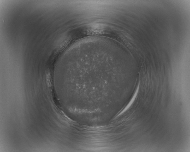 X0000056380224200508261208