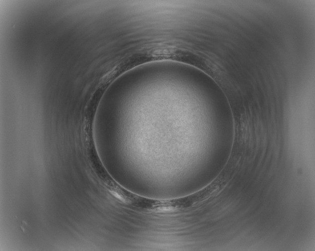 X0000056380228200508261208