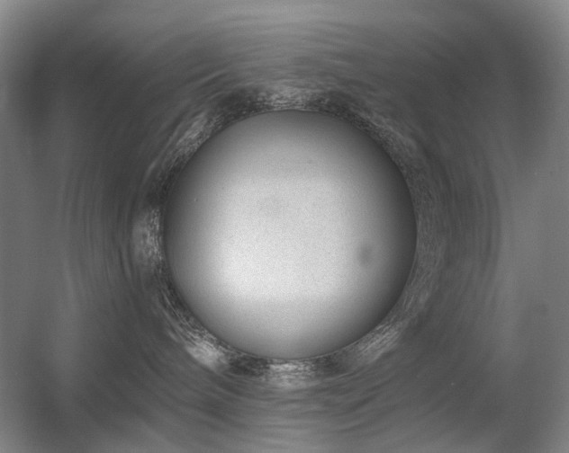 X0000056380240200508261208