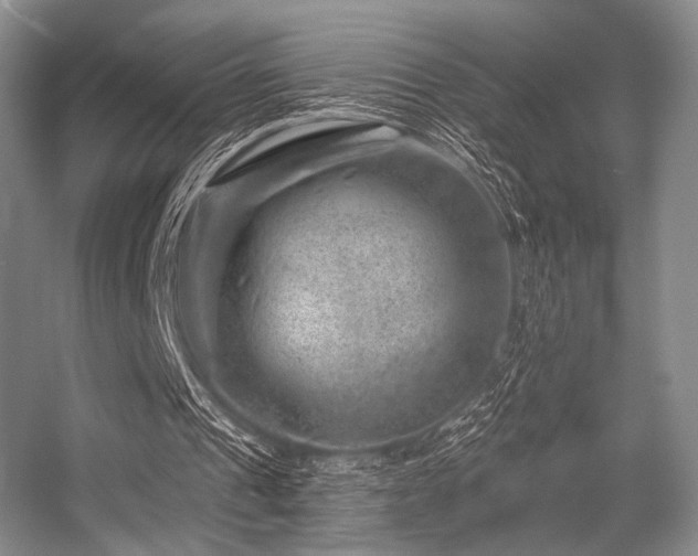 X0000056380241200508261207