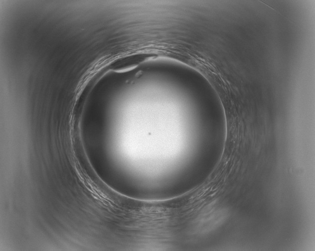 X0000056380242200508261207