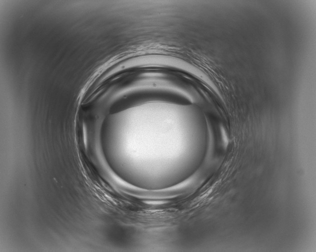X0000056380244200508261207