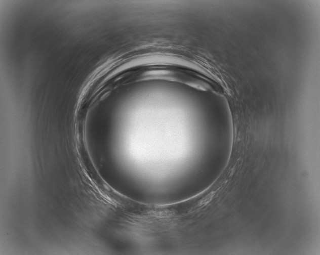 X0000056380245200508261207