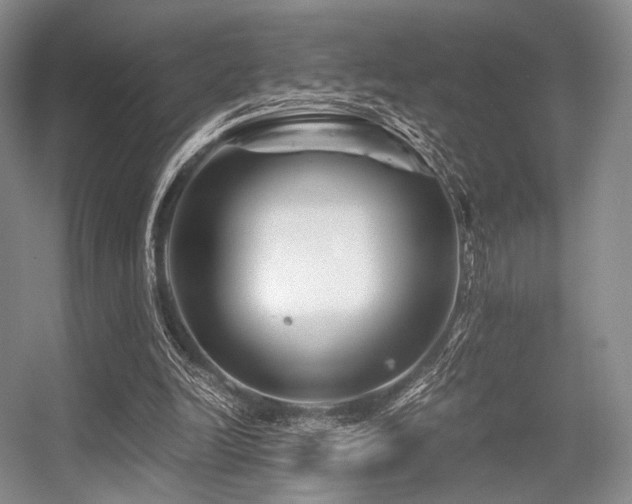 X0000056380246200508261207