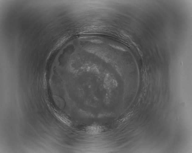 X0000056380250200508261208