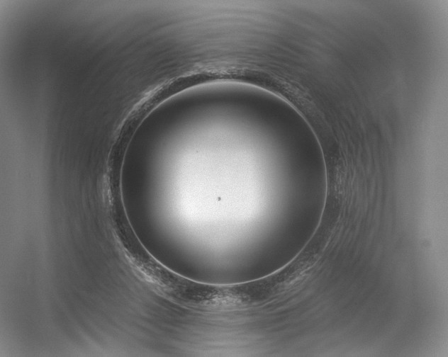X0000056380256200508261208