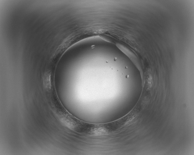 X0000056380262200508261208