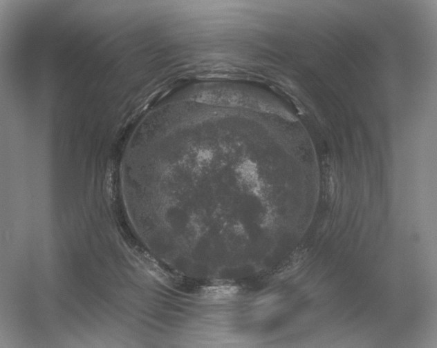 X0000056380266200508261208