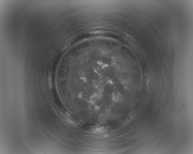 X0000056380267200508261208