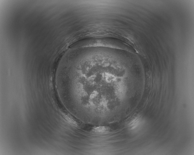 X0000056380269200508261208