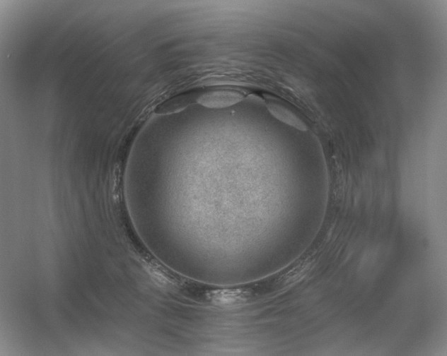 X0000056380273200508261208