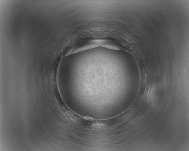 X0000056380283200508261208
