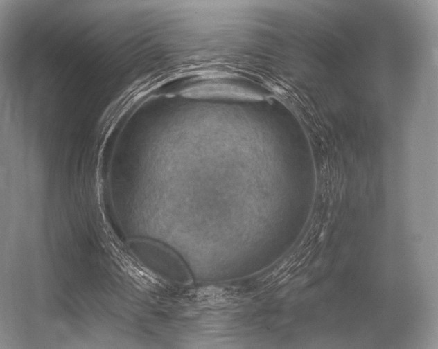 X0000056380290200508261207