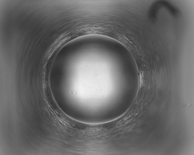 X0000056380291200508261207