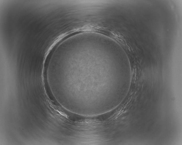 X0000056380292200508261207