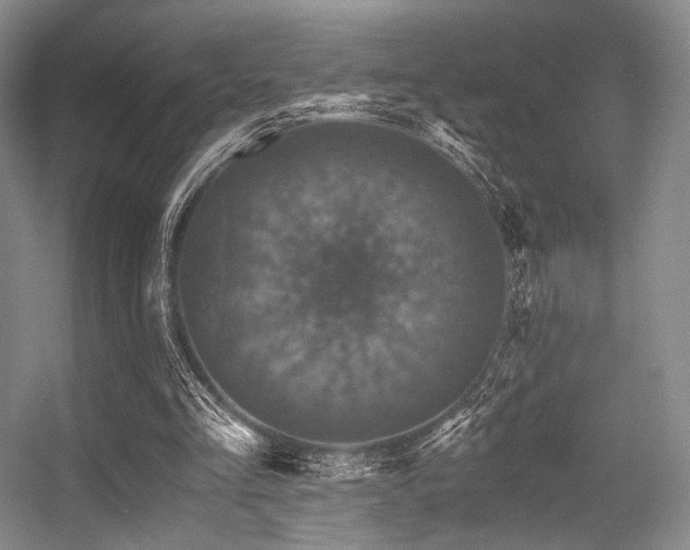 X0000056380293200508261207
