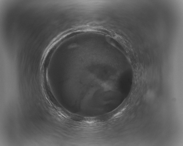 X0000056380295200508261207