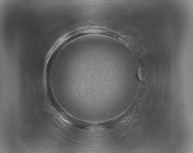X0000056380296200508261207