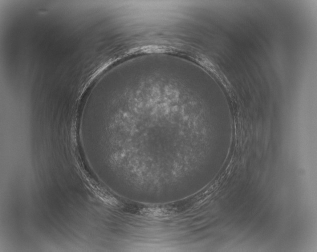 X0000056380297200508261207