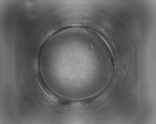 X0000056380299200508261207