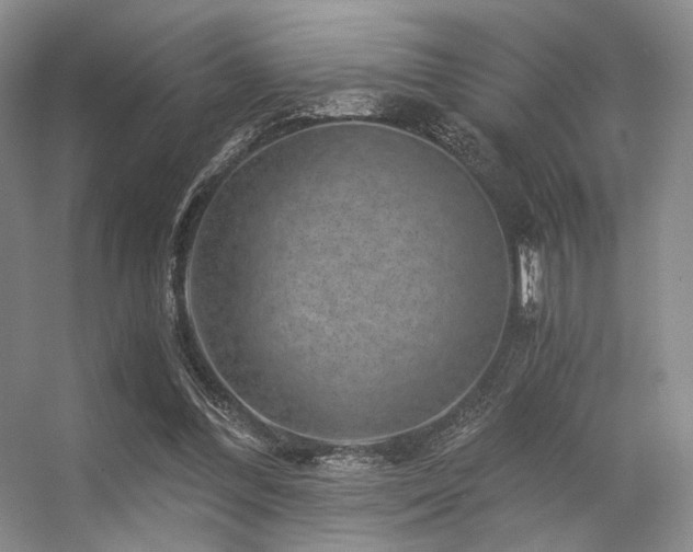 X0000056380300200508261207