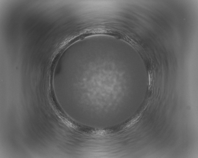 X0000056380301200508261207