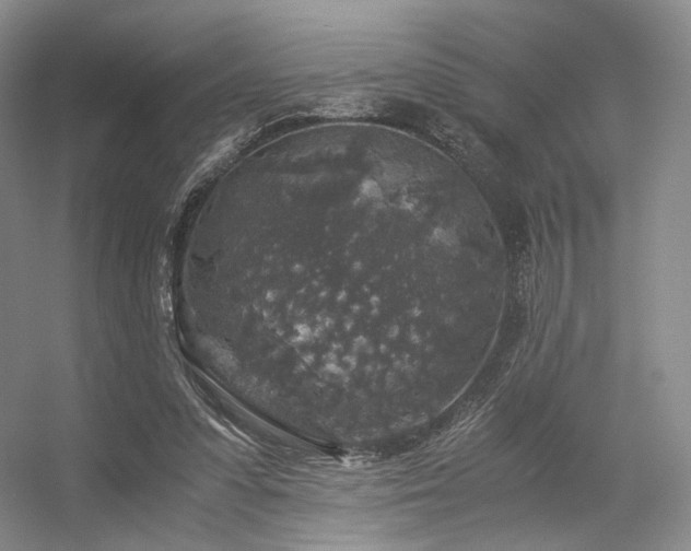 X0000056380303200508261207