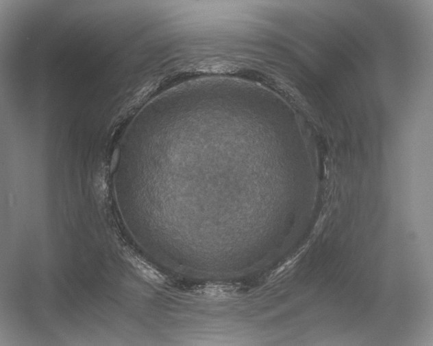 X0000056380305200508261207