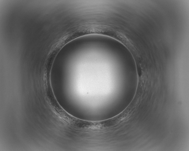 X0000056380306200508261207