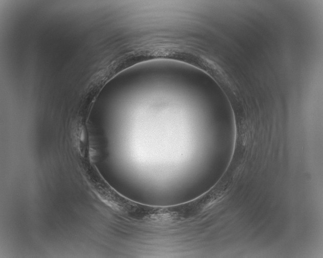 X0000056380307200508261207