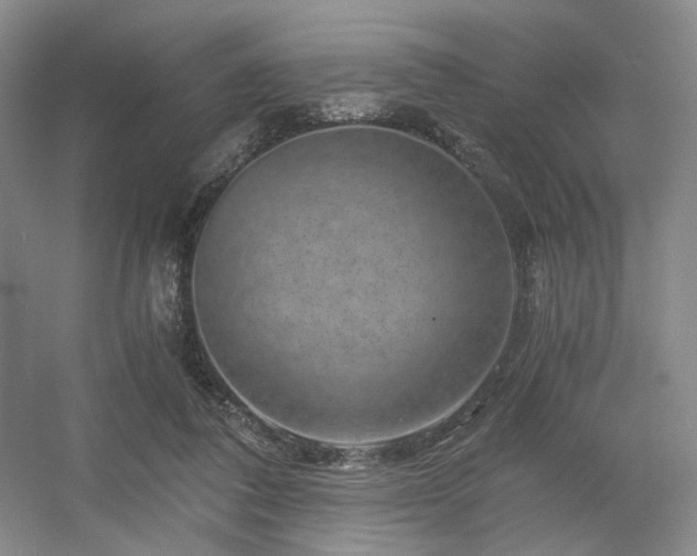 X0000056380308200508261207