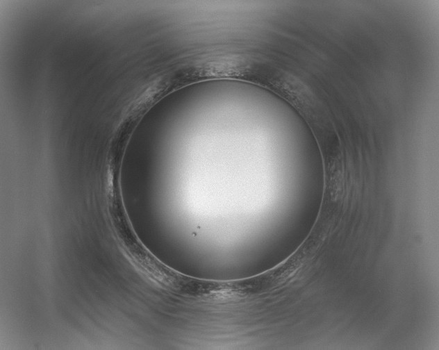 X0000056380310200508261207