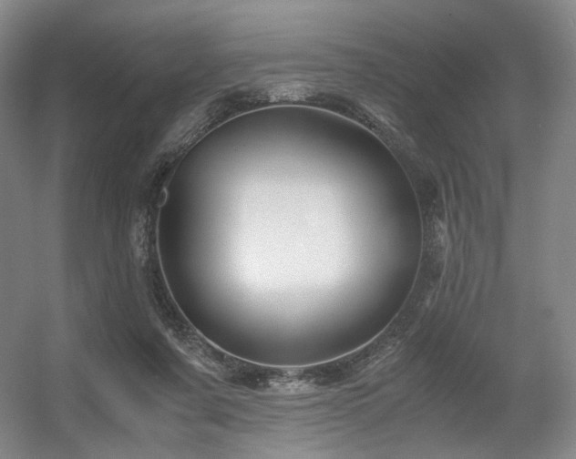 X0000056380311200508261207