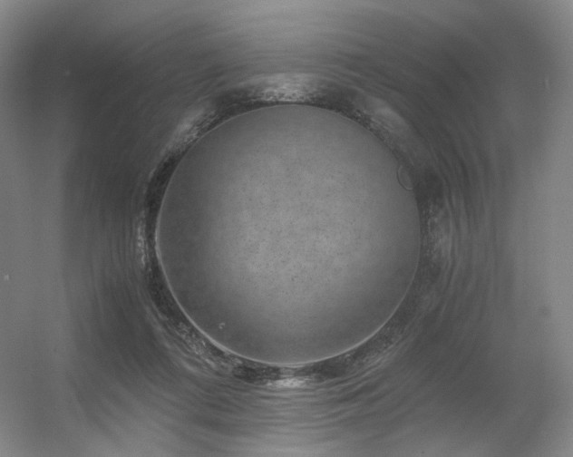 X0000056380312200508261207