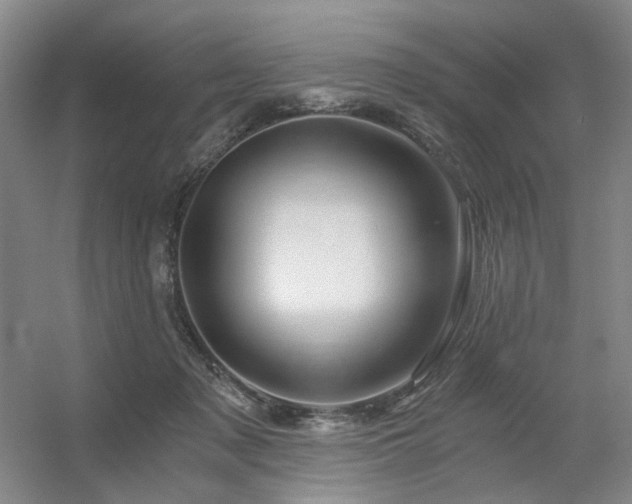 X0000056380317200508261207