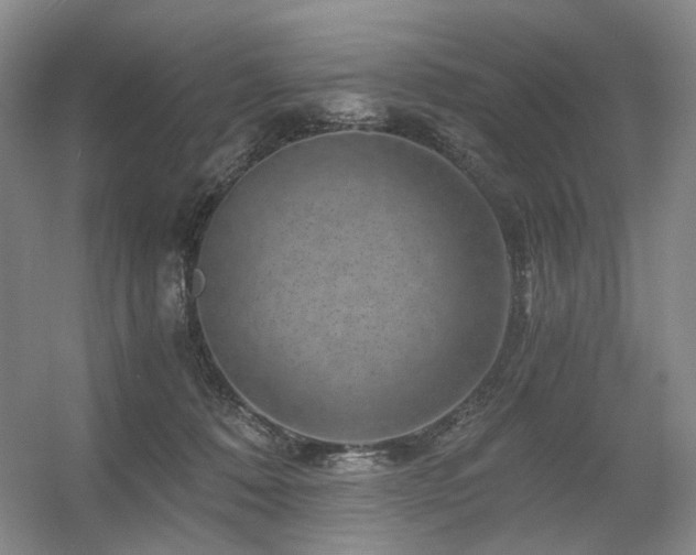 X0000056380320200508261207