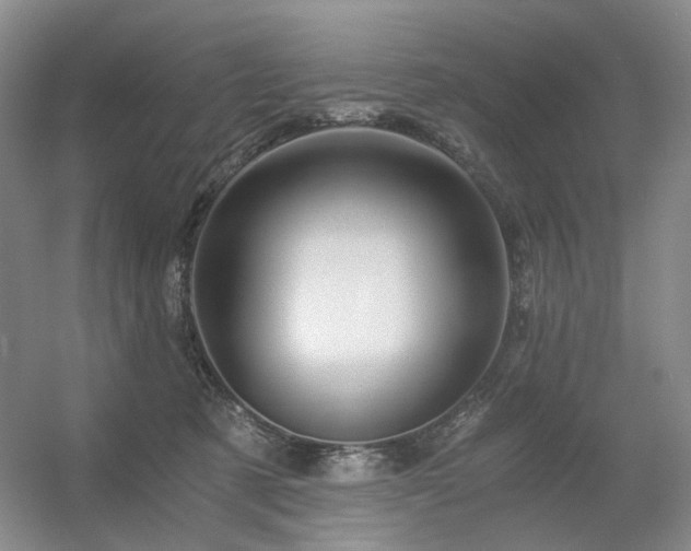 X0000056380321200508261207