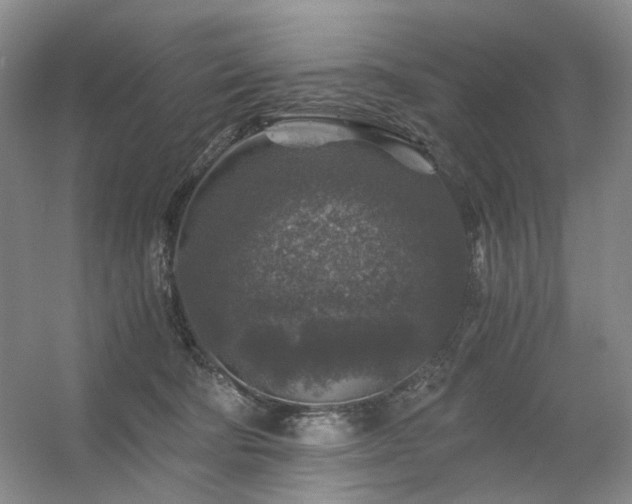 X0000056380322200508261207