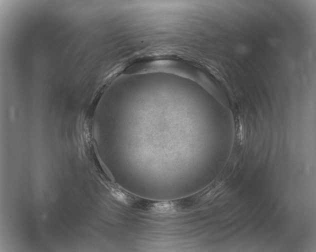 X0000056380335200508261207
