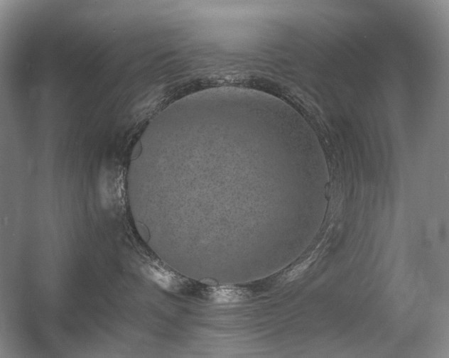 X0000056380336200508261207