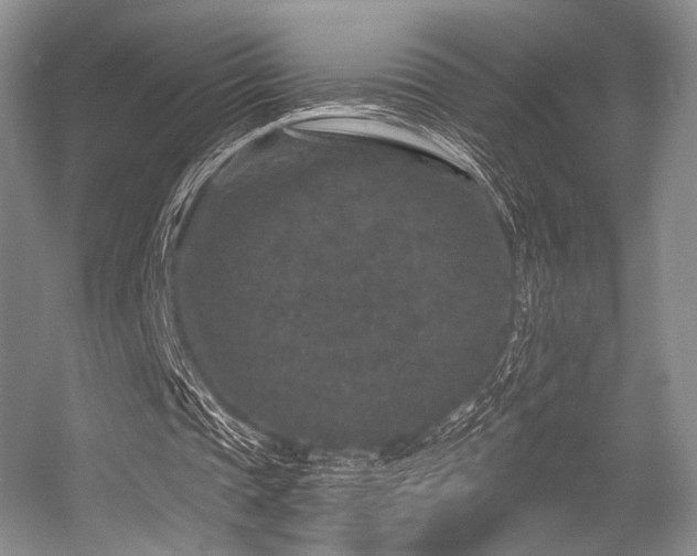 X0000056380337200508261206