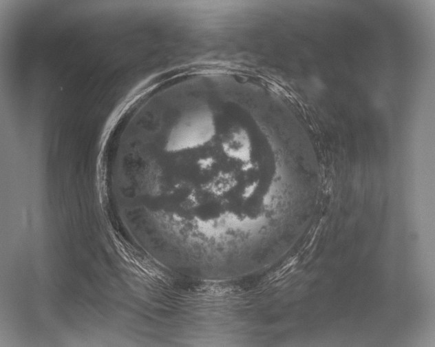X0000056380343200508261206